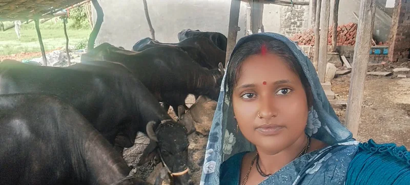 आजीविका मिशन से बदली तस्वीर-