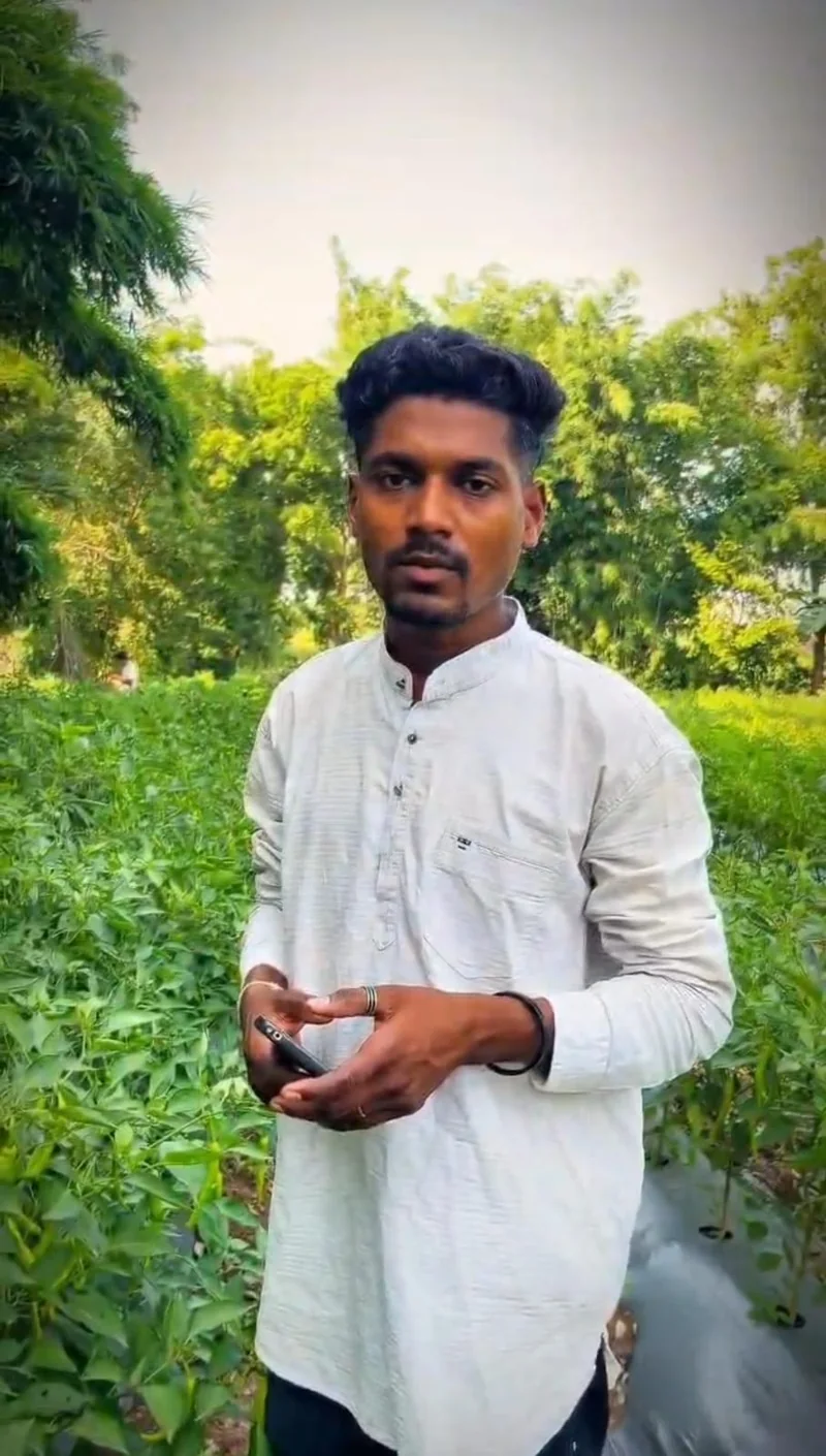 प्राकृतिक खेती से कम लागत में बढ़ी आमदनी, युवा कृषक बलराम डावर बने प्रेरणा (सफलता की कहानी)